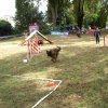 foire-haricots 2011-09-17et18